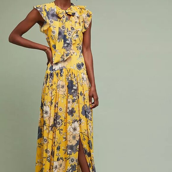 Monique Lhuillier Dresses & Skirts - ML Monique Lhuillier Fiorina Maxi Dress